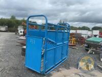 Blue taylor cattle crush - 3