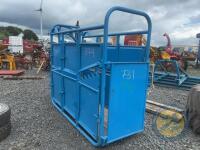 Blue taylor cattle crush - 4