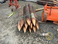 10x 8ft telegraph strainers - 4