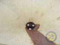 Vicon sower & shaft - 4