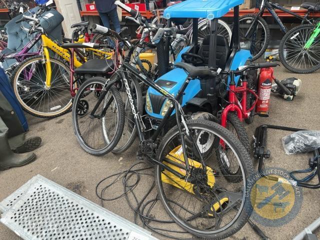 Ridge back bike