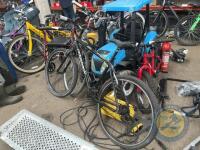 Ridge back bike