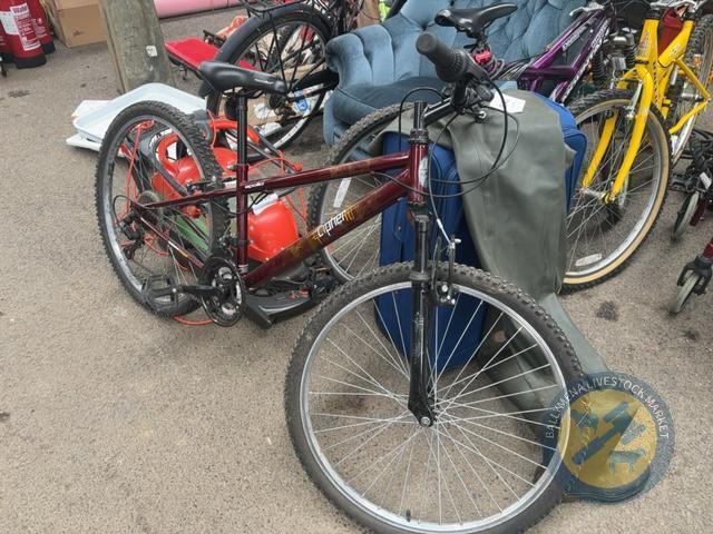 Apollo cipher bike