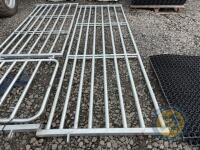 10ft hurdle