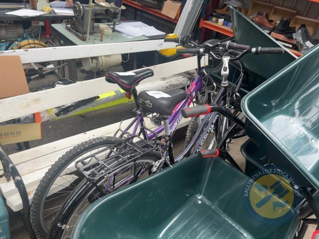 Challenge mountain bike