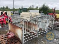 3x calf pens with bucket holders and brackets - 3