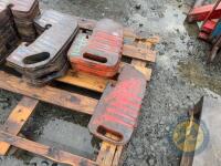 4x Ferguson weights - 3