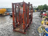 Cattle crush with new floor - 2