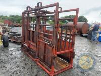 Cattle crush with new floor - 3