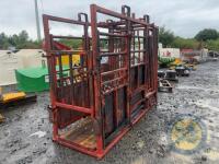 Cattle crush with new floor - 4