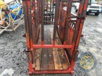 Cattle crush with new floor - 5