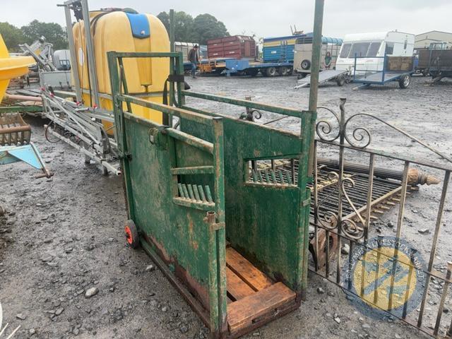 Calf dehorning crate