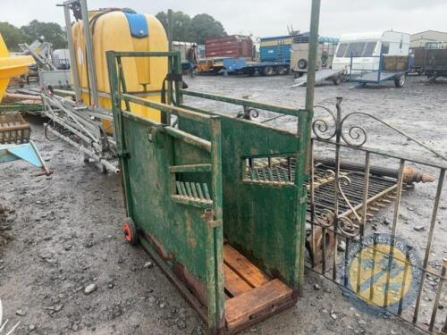 Calf dehorning crate