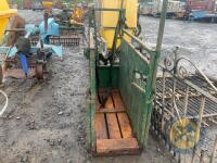 Calf dehorning crate - 2