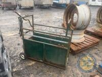 Calf dehorning crate - 3