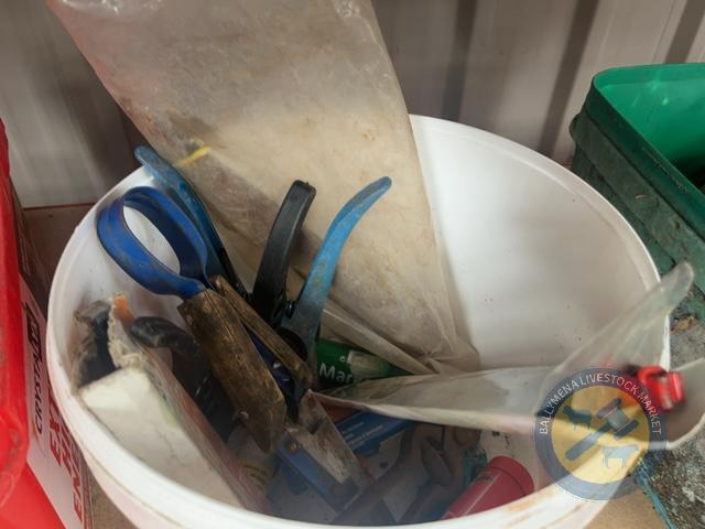 Bucket of sheep markers
