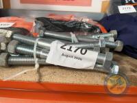 12x M20X220 nuts and bolts - 2