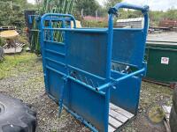 blue cattle crush