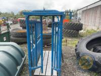 blue cattle crush - 3