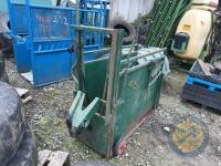 calf dehorning crate - 2