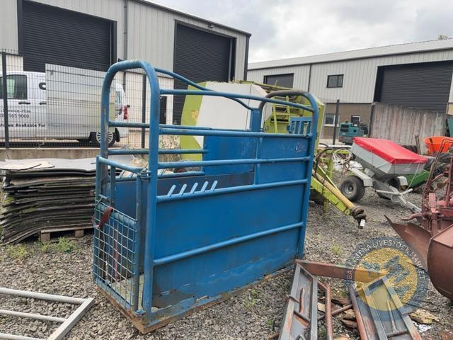 blue cattle crush