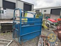 blue cattle crush
