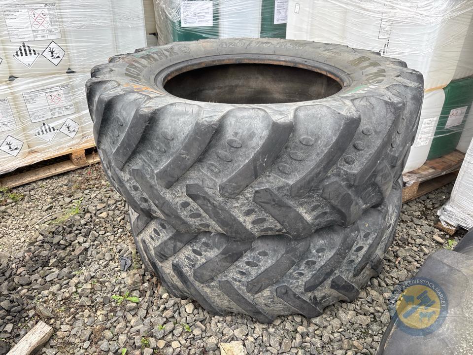 2 420/70 R28 BKT tyres