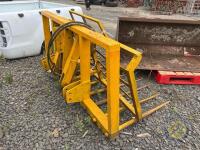 Yellow Buckrake - 2