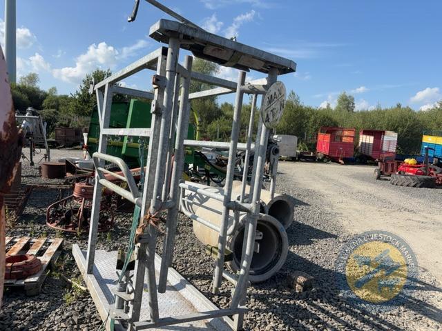 Galvanised hoof trimming crush