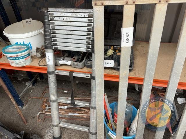 telescopic ladder