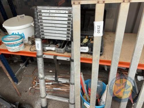 Telescopic ladder