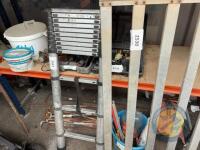 telescopic ladder