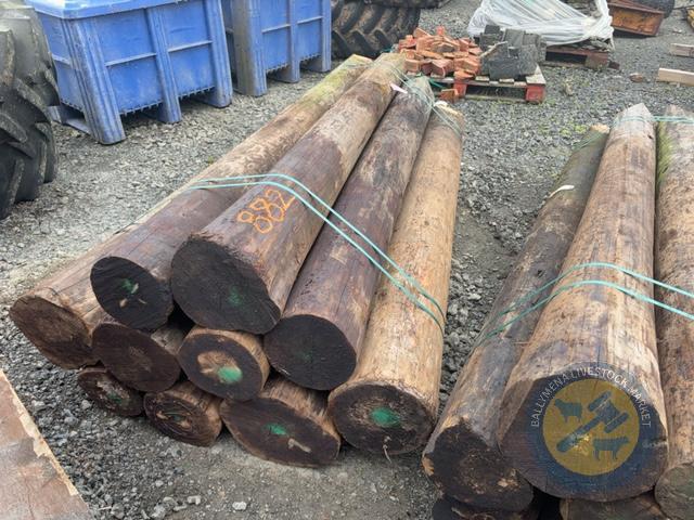 10x 8ft telegraph pole strainers