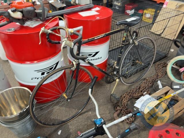 Record sprint bike
