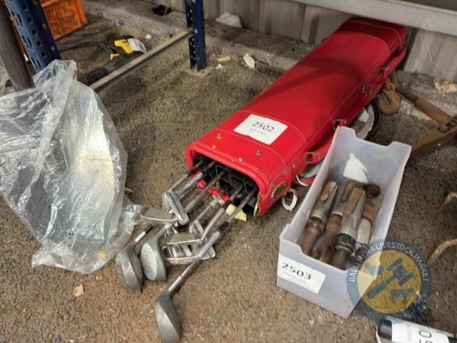 Set of golf clubs in bag