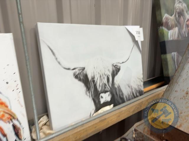 High land cow on canvas