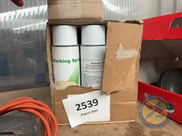 box of green markers