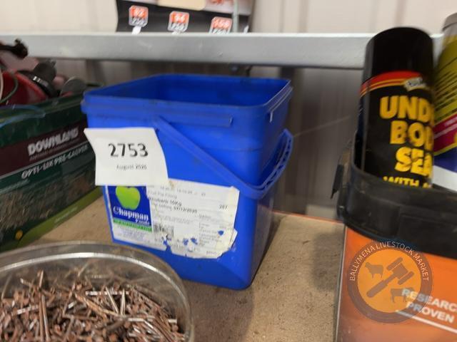 bucket of screw nails