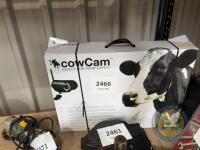 Cow camera - 2