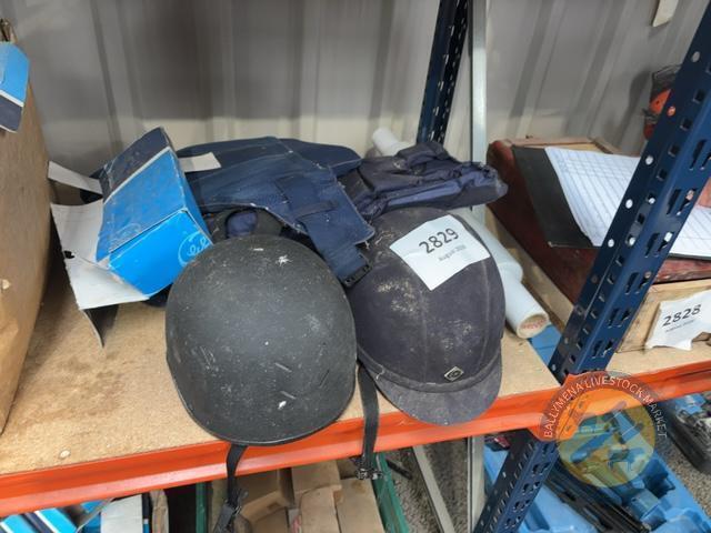 2x horse body armour & hats