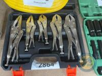 5x pic vice semp set - 2