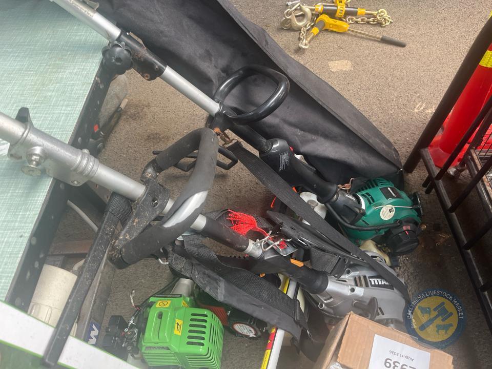 Bundle of hedge strimmers