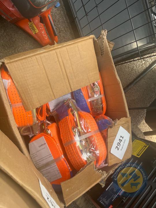 10x 5x10tn ratchet straps