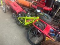 Team bike