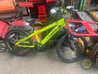 Team bike - 2