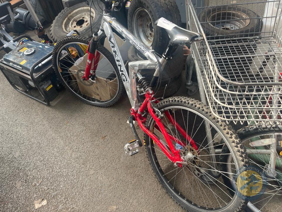 Viking bike