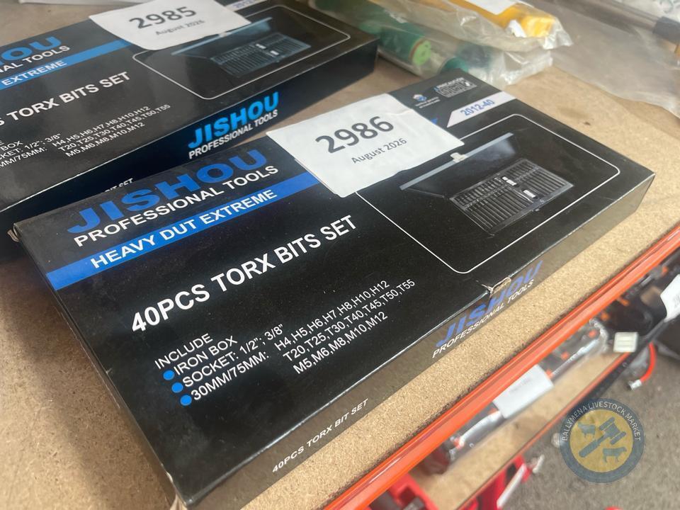 40pc Torx, spline, allen key set