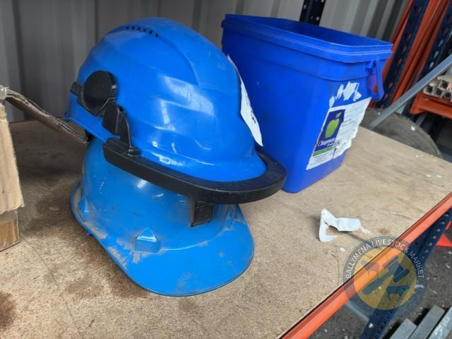 2 Hard Hats & Bucket of Screws & Nails