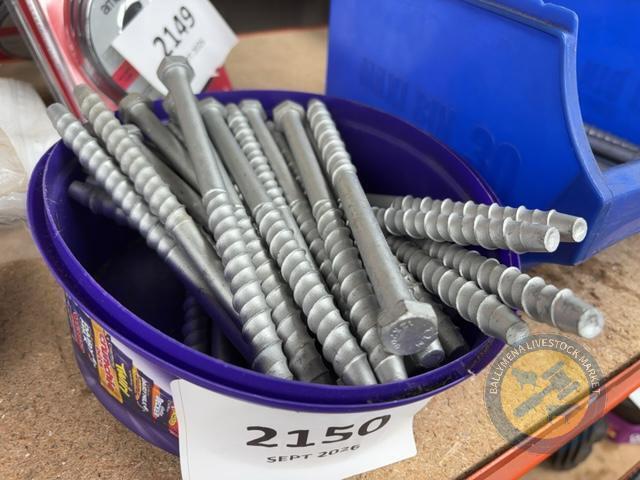 40 M12 Thunder Bolts