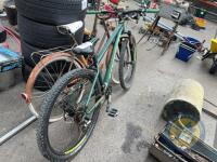 Bicycle - 3